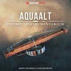 Soundiron Hopkin Instrumentarium: Aquaalt An Experimental Lute with a Steel Bowl Resonator [Virtual]