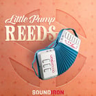 Soundiron Little Pump Reeds Shrutti Box and Accordions for Kontakt [Virtual]