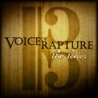 Soundiron Voice of Rapture: The Tenor Solo Male Tenor Operatic Vocal Library for Kontakt [Virtual]