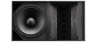 Bose Professional ArenaMatch AM20/100 Outdoor Loudspeaker, Black