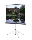 70" x 70" Picture King Matte White Tripod Screen, Gray Carpet