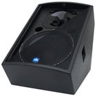 200W Two-Way 12" Stage Monitor