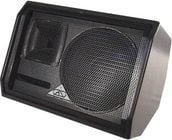 Two-Way Bass Reflex Loudspeaker (with Handle, No Pole Mount)