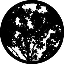 Rosco 78218 Steel Gobo, Summer Branches