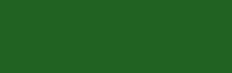 Rosco CalColor #4490 CalColor Roll, 48"x25', 4490 Green