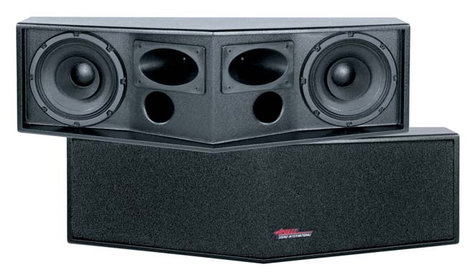 Apogee Sound 100-2110 AE-2s2 Wide Angle Dual 8" Horizontal Dispersion Loudspeaker