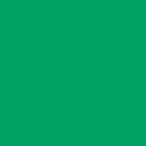 GAM 666-GAM 20" X 24" GamColor Wicked Green Gel Filter