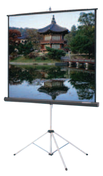 Da-Lite 93878 43" X 57" Picture King Matte White Tripod Screen, Black Carpet