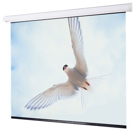 Draper 116369L 65" X 104" Targa Matt White Electric Projection Screen, LVC