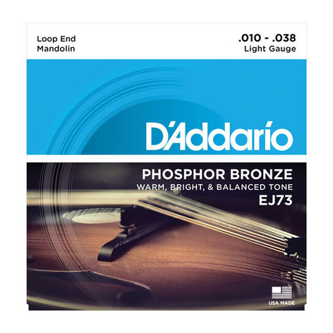 D`Addario EJ73 Light .010-.038 Phosphorus Mandolin Strings