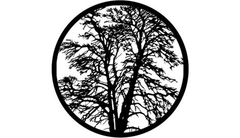 Rosco 78438 Steel Gobo, Bare Trees