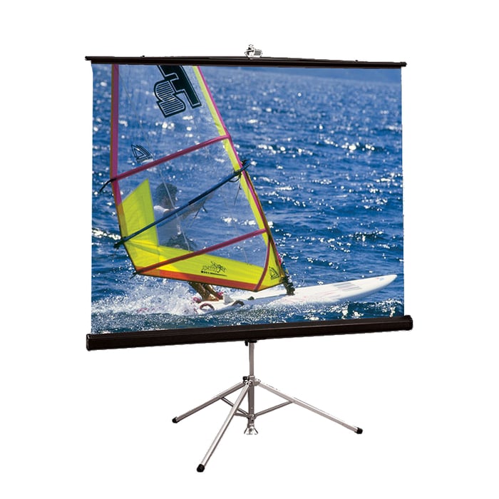 Draper 215010 69" X 92" Diplomat/R Matt White Portable Projection Screen