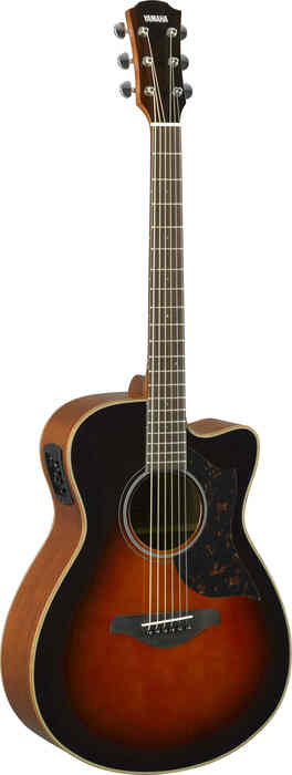 Yamaha AC1M Concert Cutaway - Sunburst Acoustic-Electric Guitar, Sitka Spruce Top, Mahogany Back And Sides