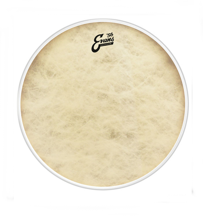 Evans BD16CT 16" '56 Calftone Bass Drumhead