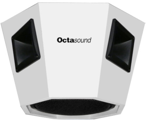 Octasound SP810A Central Speaker System: 10" Woofer, 4x 6"x6" Compression Horn/Drivers