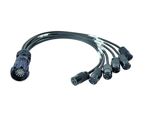 Lex BO100L-6-8C 6' LSC19 8-Circuit Break-Out Cable With Twist-Lock Connectors