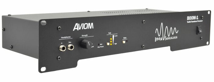Aviom BOOM-1 Tactile Transducer Processor, DSP And Amplifier, 2RU