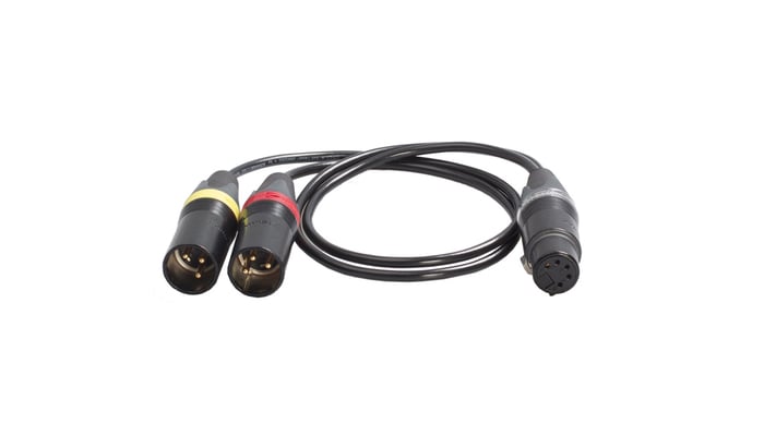 Schoeps AK SU/2U 0.5M Y-Cable, Single XLR5F Connector To Two XLR3M Connectors