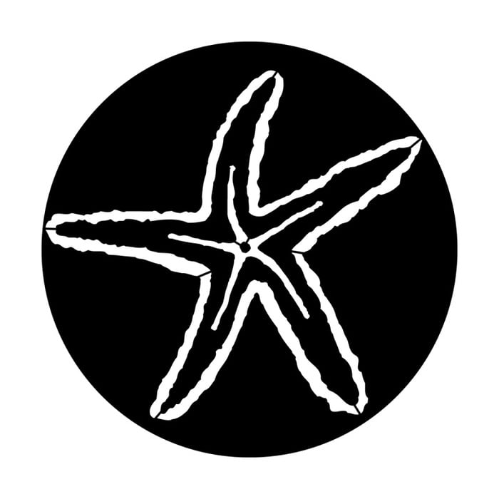 Apollo Design Technology ME-7005 Steel Gobo, Starfish