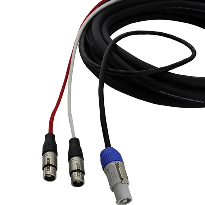 Pro Co EC5-10 10' Combo Cable With Dual XLR And PowerCon