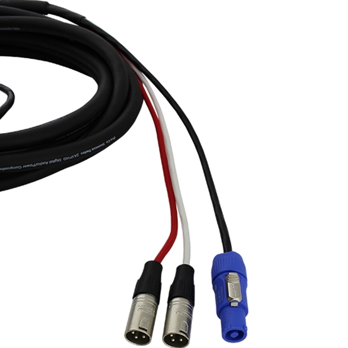 Pro Co EC5-10 10' Combo Cable With Dual XLR And PowerCon