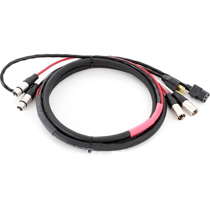 Pro Co EC2-50 50' Combo Cable With Dual XLR And Edison To IEC