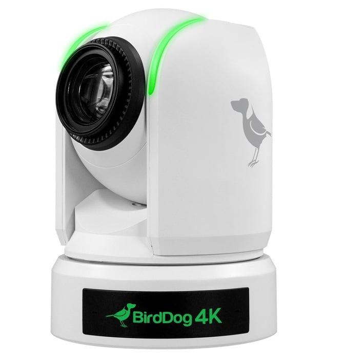 BirdDog P4K 4K UHD PTZ Camera With NDI,  HDMI And 6G-SDI Output
