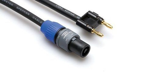 Pro Co S114BN-10 10' Speakon To Dual Banana Plugs 11AWG Speaker Cable