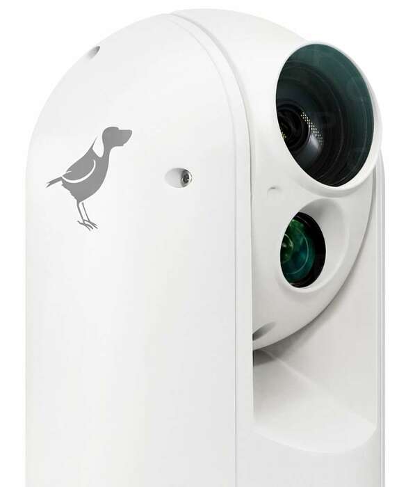 BirdDog Eyes A300 Weatherproof Full NDI PTZ Camera, White