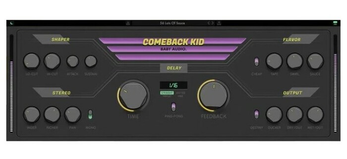 Baby Audio Comeback Kid Delay-Echo Plug-In [Virtual]