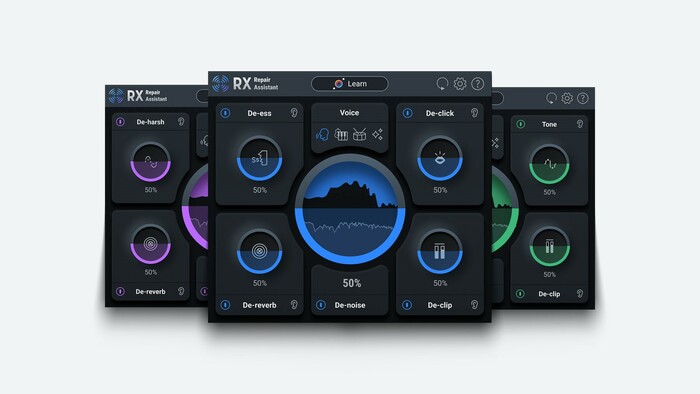 iZotope RX Elements v10 Affordable Essential Audio Repair [Virtual]