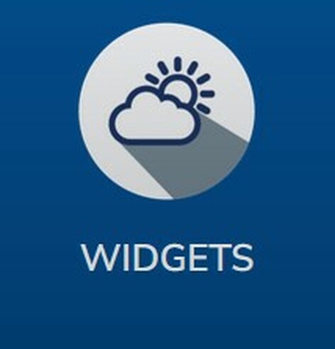 SpinetiX SX-SE-DSOS-1Y-WIDGETS DSOS WIDGETS 1-Year License