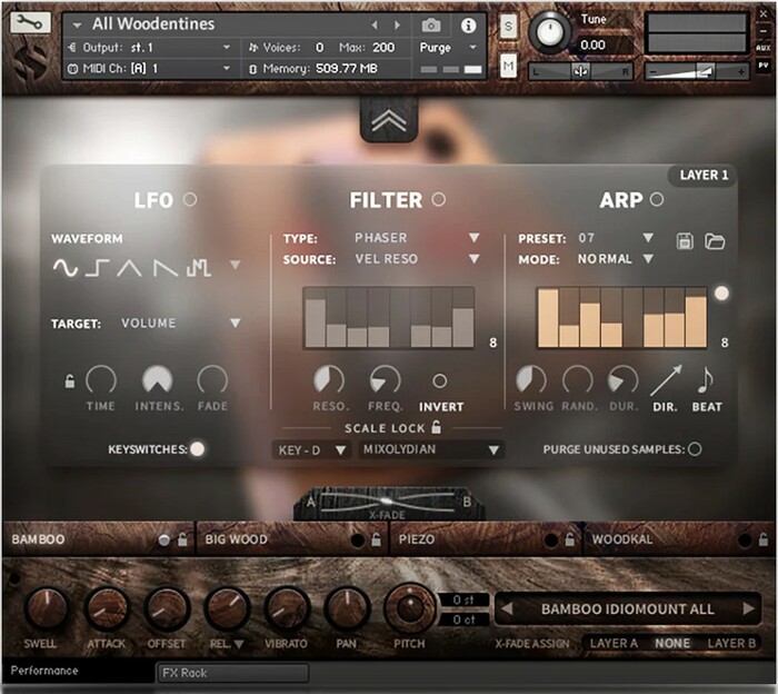 Soundiron Hopkin Instrumentarium: Woodentines Unique Tuned Percussion For Kontakt [Virtual]