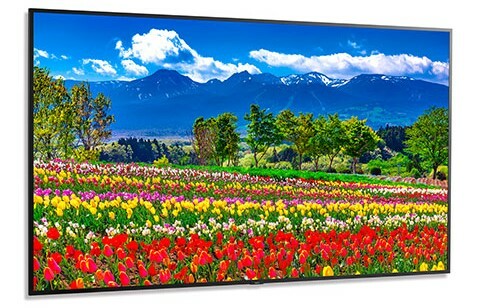 NEC M751 75" LCD Ultra High Definition Professional Display