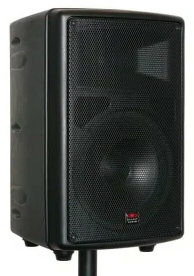 Galaxy Audio TQ8X GTU-HHP5AB 8" PA System With 2x Wireless Microphones