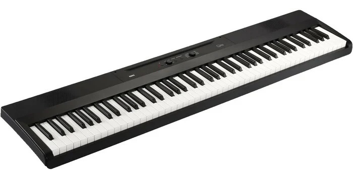 Korg L1 Liano [B-Stock] 88-Key Digital Piano With Audio And MIDI USB, Black