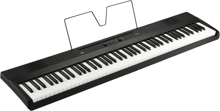 Korg L1 Liano [B-Stock] 88-Key Digital Piano With Audio And MIDI USB, Black