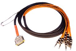 Avid DigiSnake DB25-TRS Analog Snake Cable - 12'''' 8-Channel DB25 Male To TRS, 12' Length