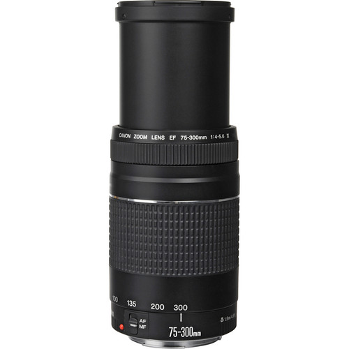 Canon EF 75-300mm f/4-5.6 Compass Lens III Zoom Systems Telephoto | Full