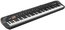 Korg SV-1 88 Stage Vintage Piano - Black 88-Key Stage Piano With 36 Instrument Sounds, Amp And Effects Image 1