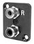 Ace Backstage C-25109 Dual RCA On DBA Engraved, Left And Right, Panel Mount Image 1
