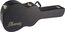 Ibanez AC100C AC/SGT Acoustic Guitar Case Image 1