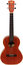 Kala KA-T Satin Mahogany Series Tenor Ukulele Image 2