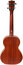 Kala KA-T Satin Mahogany Series Tenor Ukulele Image 3