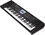 Roland BK-3-BK Arranger - Black 61-Key Arranger Keyboard Image 1