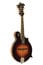 The Loar LM-600-VS Professional Series Gloss Vintage Sunburst F-Style Mandolin With Hand-Carved Top Image 2