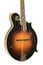 The Loar LM-600-VS Professional Series Gloss Vintage Sunburst F-Style Mandolin With Hand-Carved Top Image 1