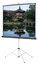 Da-Lite 93878 43" X 57" Picture King Matte White Tripod Screen, Black Carpet Image 1