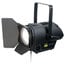 Elation DW Fresnel 250W Dynamic White LED Fresnel With Zoom Image 1