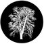 Rosco 81179 Glass Gobo, Inverted Tree Image 1